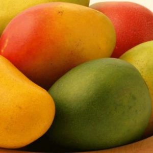 مانجو بلدي